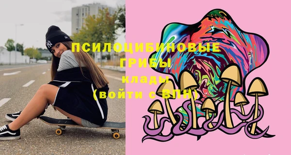 молекула духа Тольятти