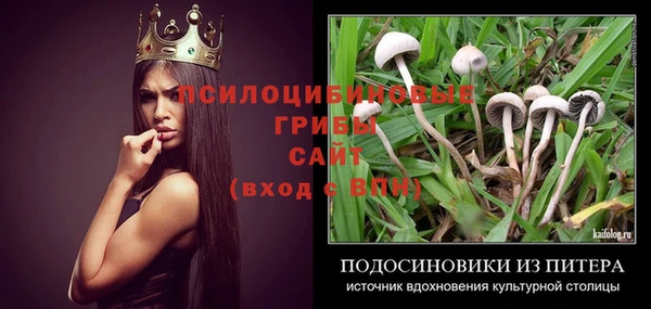 молекула духа Тольятти